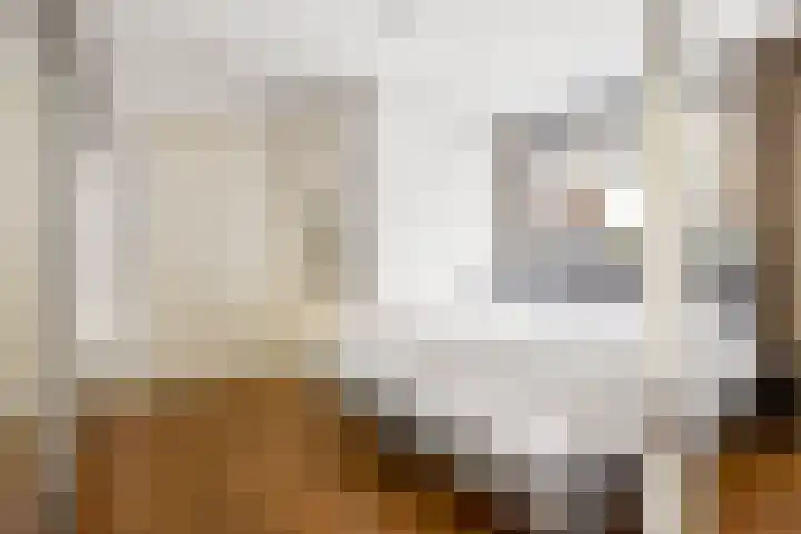 Swammerdamstraat 6 Utrecht thumbnail 17