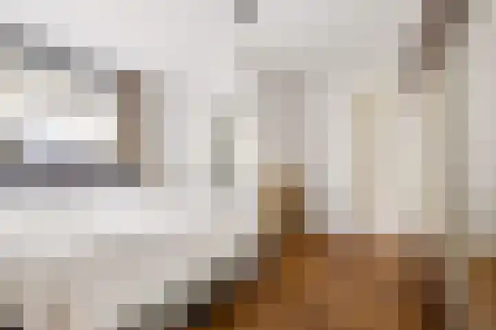 Swammerdamstraat 6 Utrecht thumbnail 18
