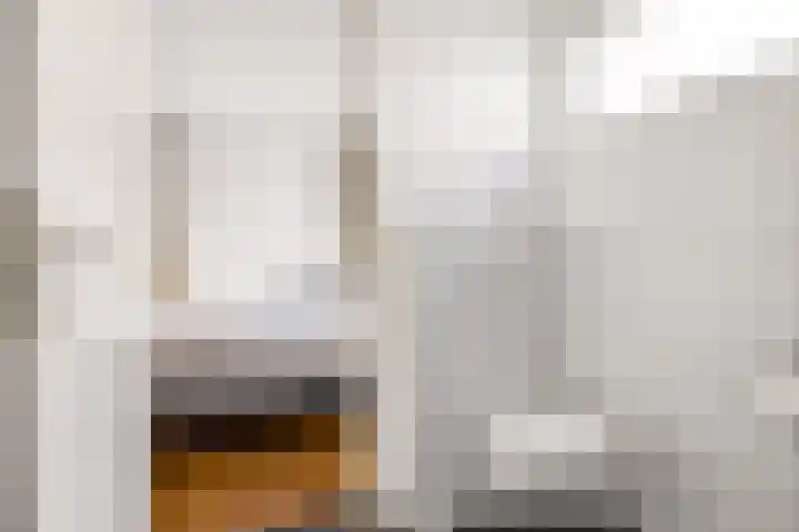 Swammerdamstraat 6 Utrecht thumbnail 22