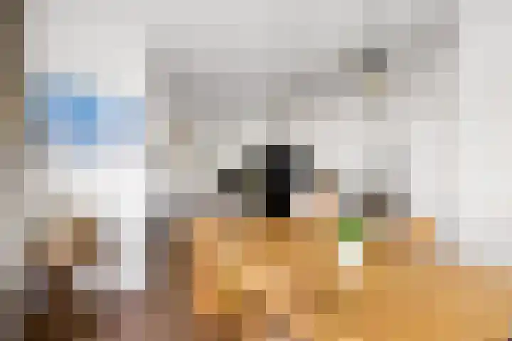 Swammerdamstraat 6 Utrecht thumbnail 7