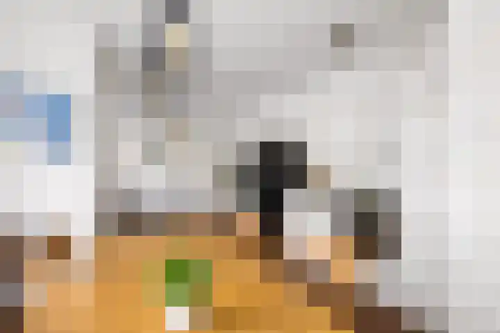 Swammerdamstraat 6 Utrecht thumbnail 9