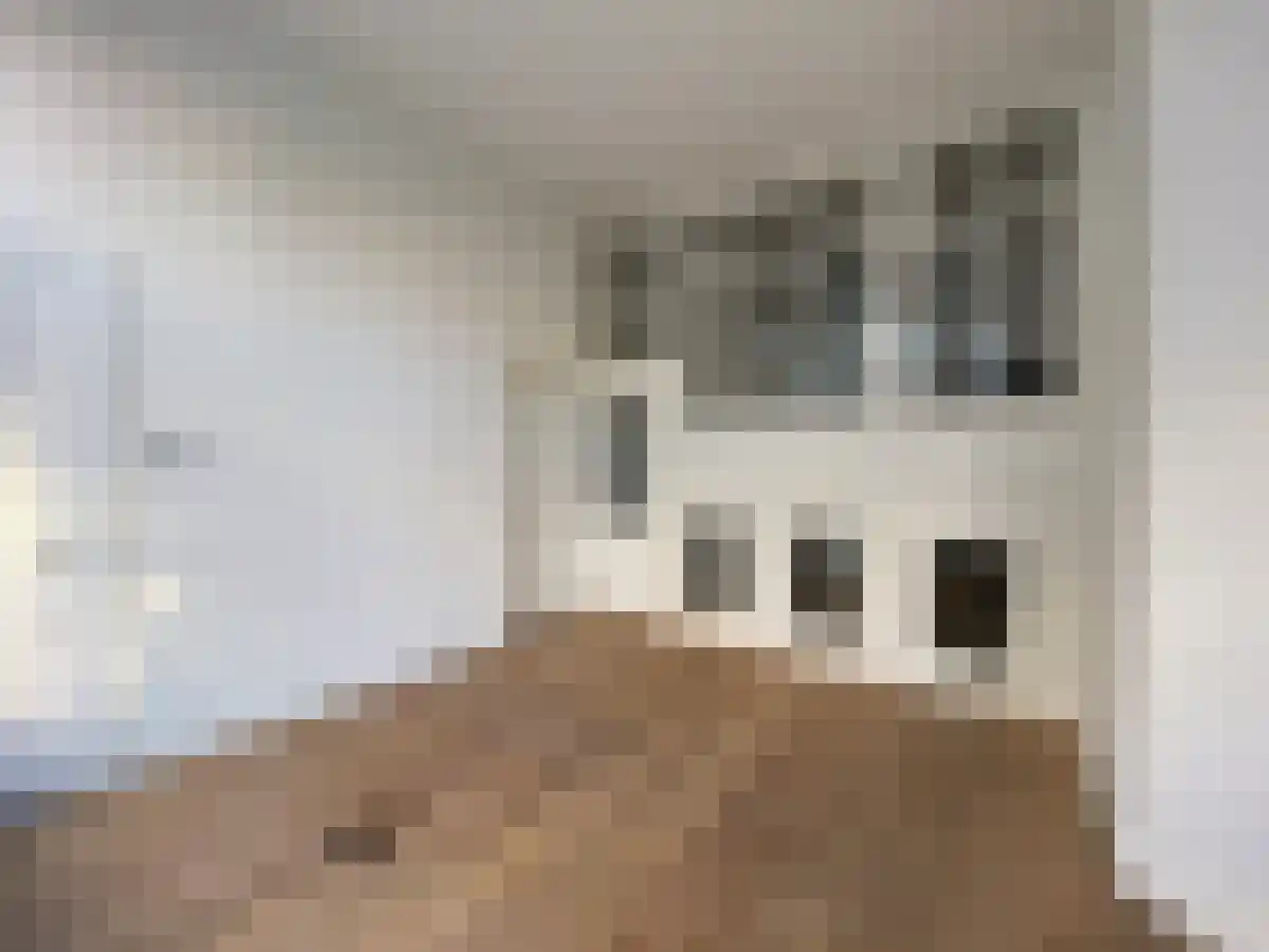 Swammerdamstraat 60 Amsterdam thumbnail 4