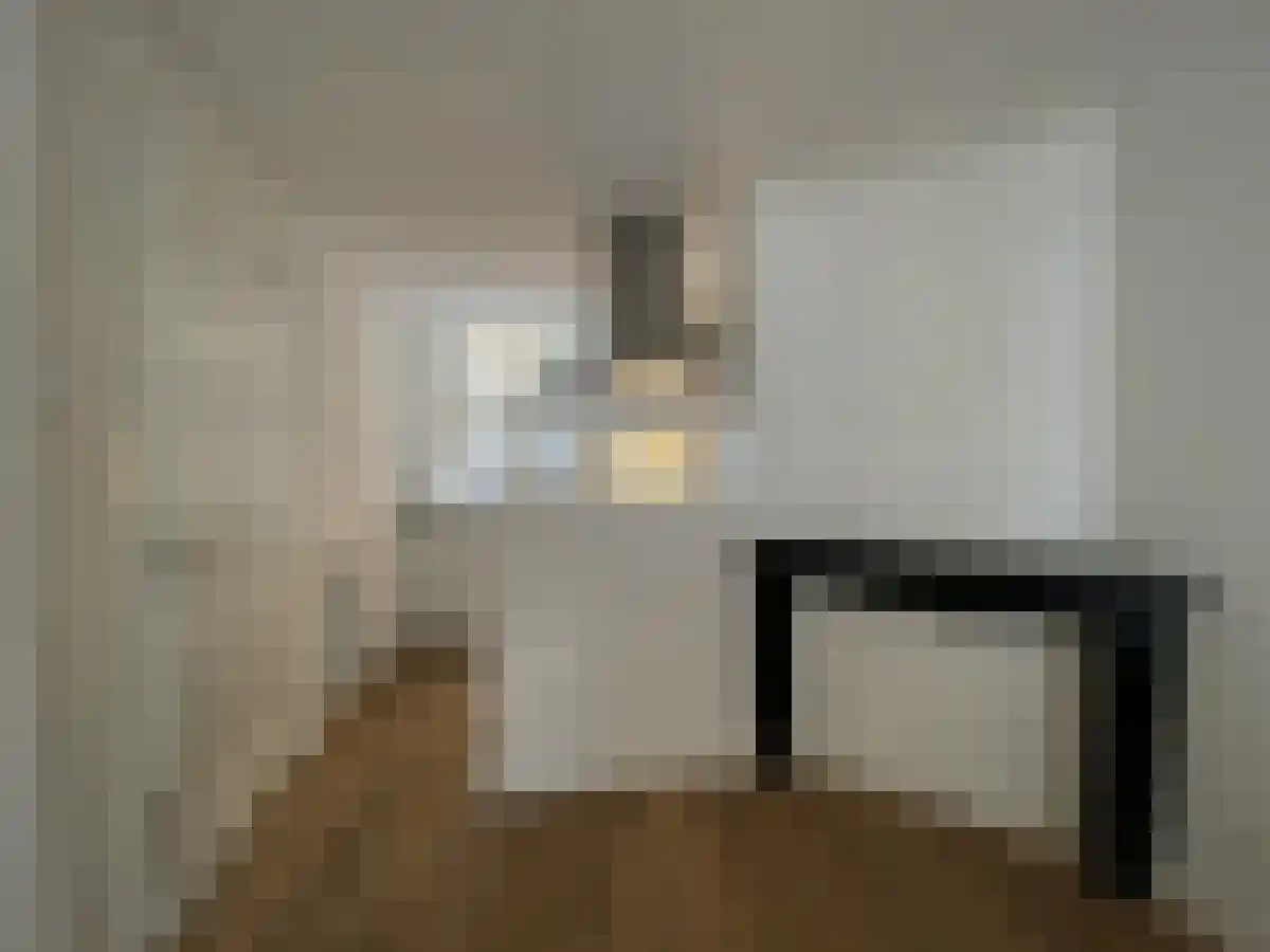 Swammerdamstraat 60 Amsterdam thumbnail 6