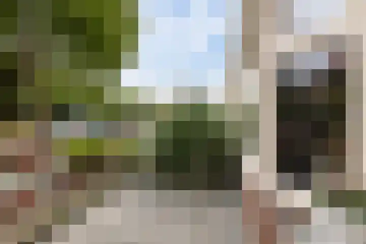 Swammerdamstraat 61 Leeuwarden thumbnail 6