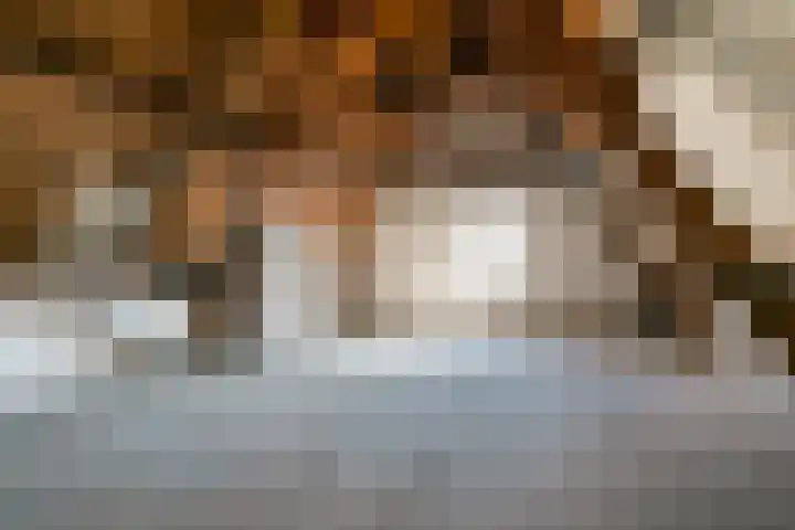 Swammerdamstraat 62 2 Amsterdam thumbnail 18