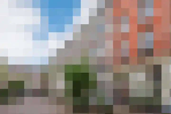 Swammerdamstraat 62 2 Amsterdam thumbnail 20