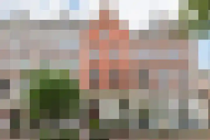Swammerdamstraat 62 2 Amsterdam thumbnail 36