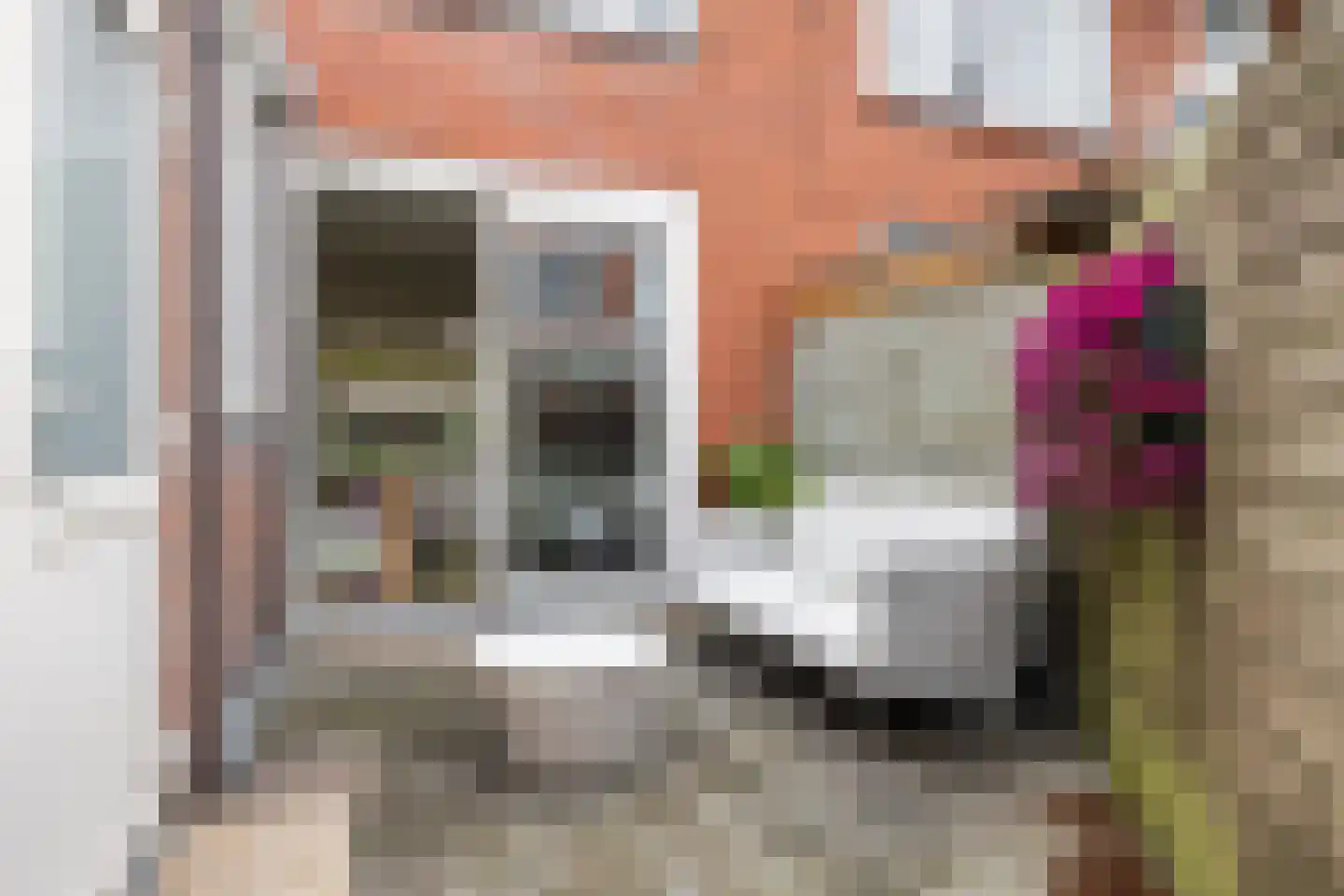 Swammerdamstraat 7 Leeuwarden thumbnail 24