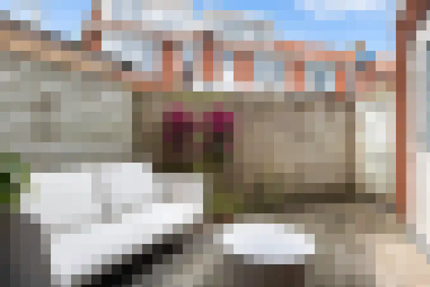 Swammerdamstraat 7 Leeuwarden thumbnail 26
