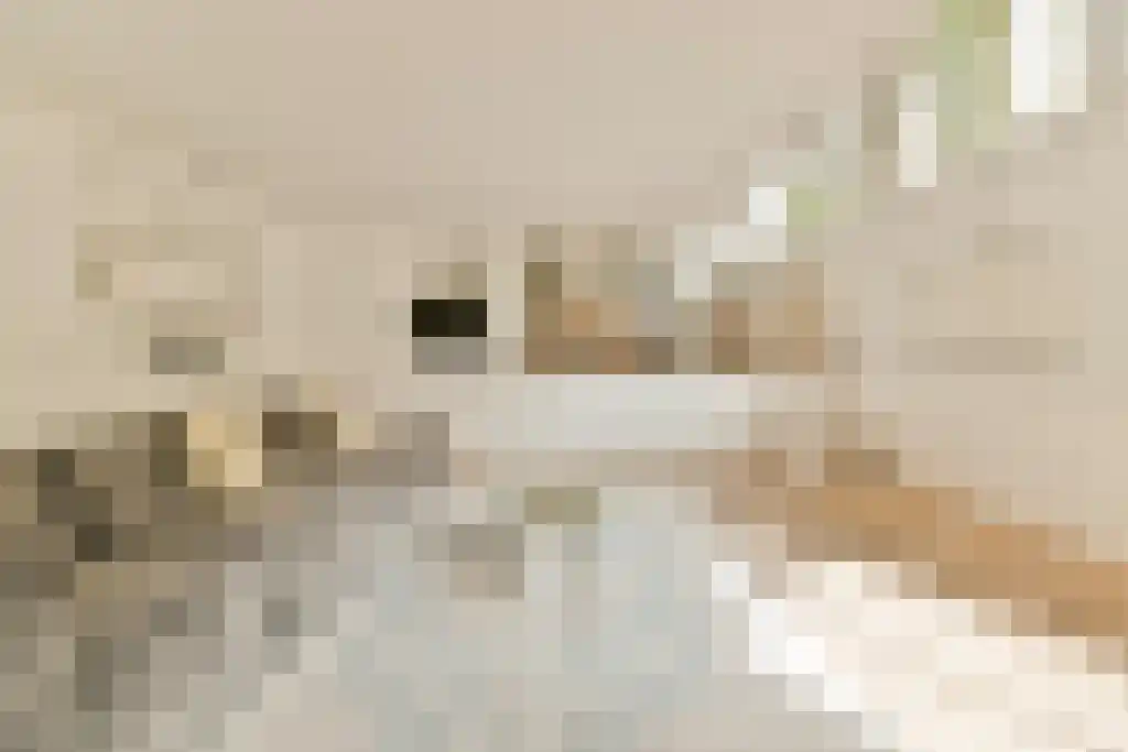 Swammerdamstraat 70 A Amsterdam thumbnail 5