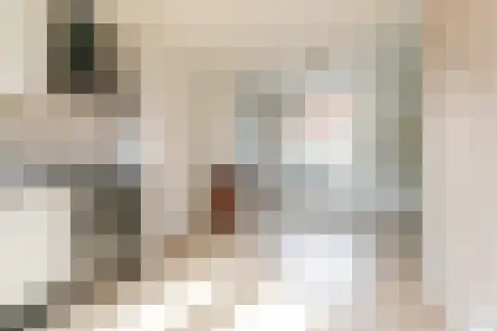 Swammerdamstraat 70 Utrecht thumbnail 9