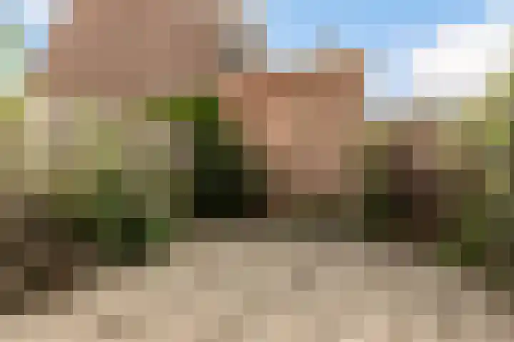 Swammerdamstraat 70 Utrecht thumbnail 23