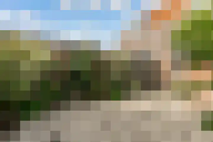 Swammerdamstraat 70 Utrecht thumbnail 24