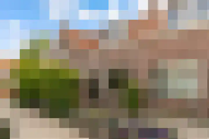 Swammerdamstraat 70 Utrecht thumbnail 33