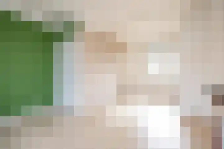 Swammerdamstraat 70 Utrecht thumbnail 5