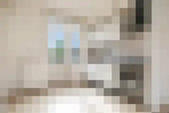 Swammerdamstraat 70 Utrecht thumbnail 8