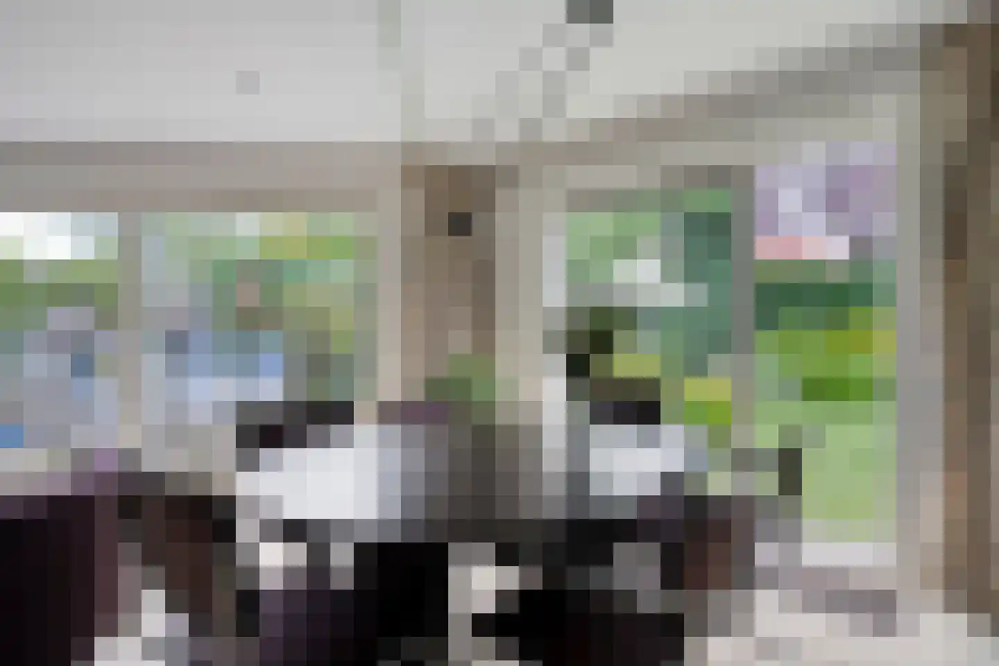 Swammerdamstraat 8 Hengelo thumbnail 19
