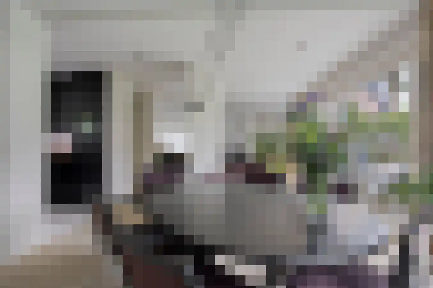 Swammerdamstraat 8 Hengelo thumbnail 20