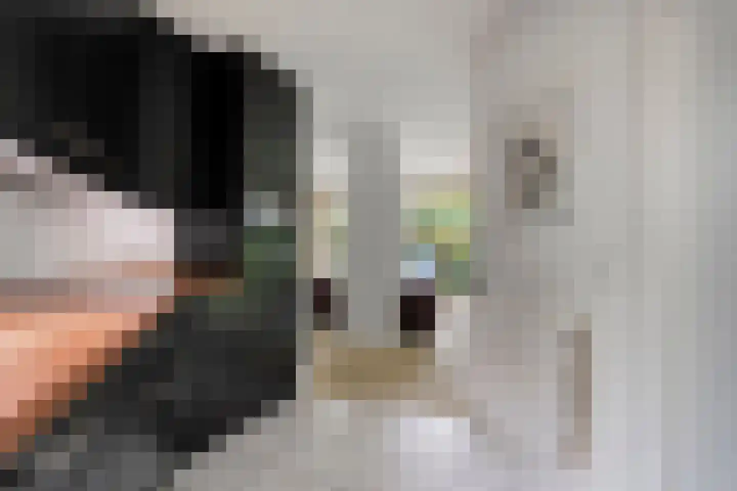 Swammerdamstraat 8 Hengelo thumbnail 23
