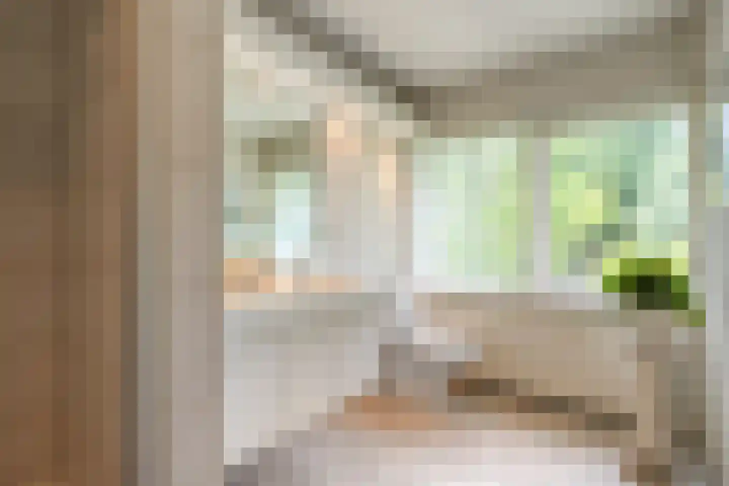 Swammerdamstraat 8 Hengelo thumbnail 36