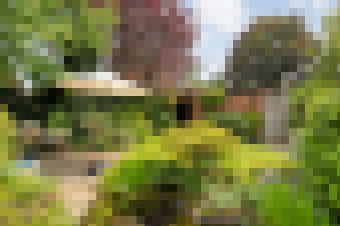 Swammerdamstraat 8 Hengelo thumbnail 45