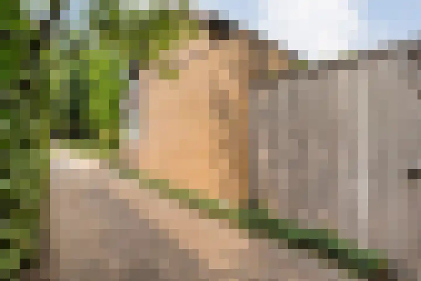 Swammerdamstraat 8 Hengelo thumbnail 48