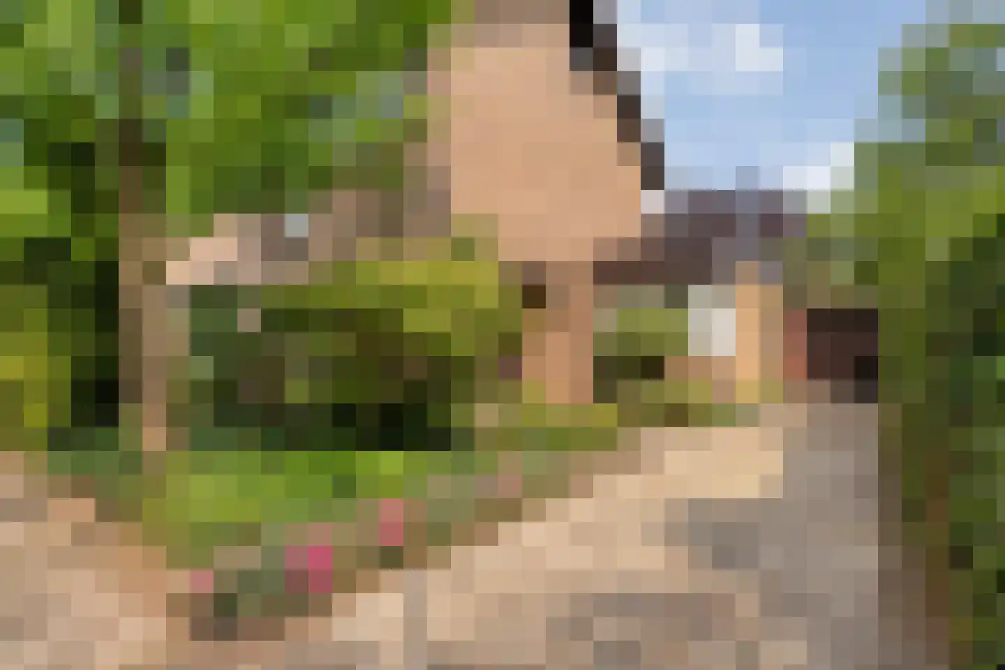 Swammerdamstraat 8 Hengelo thumbnail 6
