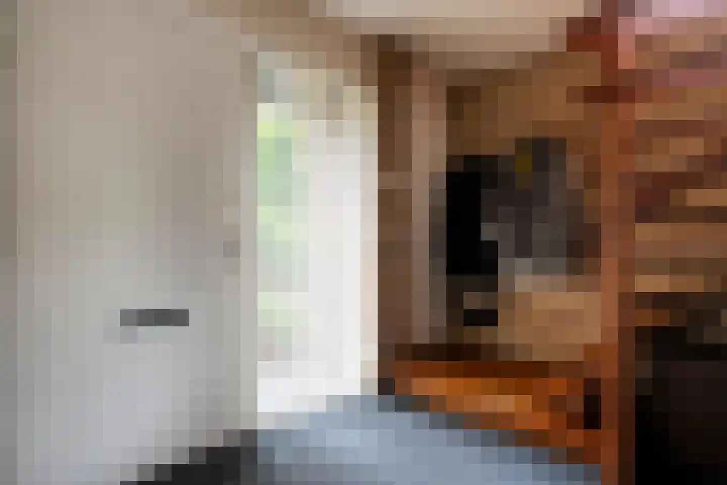 Swammerdamstraat 8 Hengelo thumbnail 8
