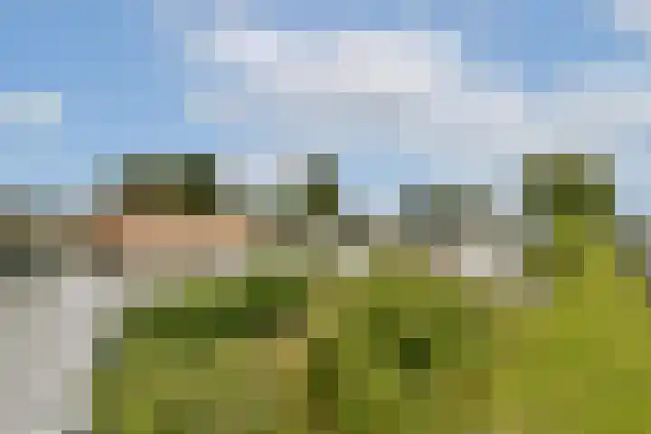 Swammerdamstraat 9 Badhoevedorp thumbnail 22