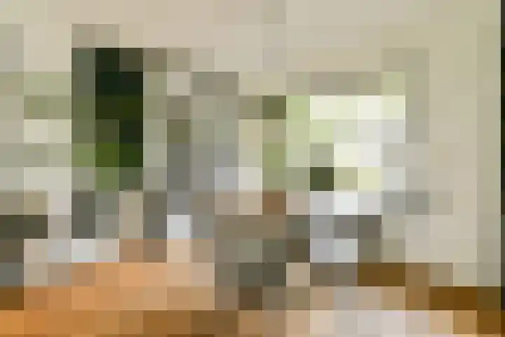 Swammerdamstraat 9 Badhoevedorp thumbnail 6