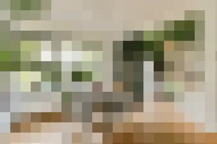 Swammerdamstraat 9 Badhoevedorp thumbnail 7