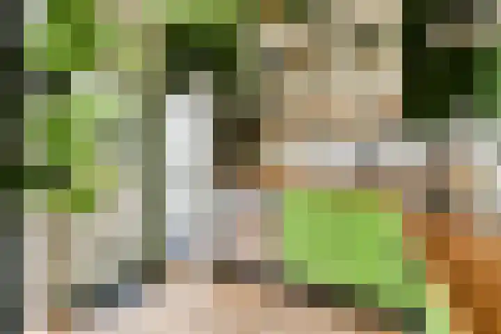 Swammerdamstraat 9 Badhoevedorp thumbnail 8