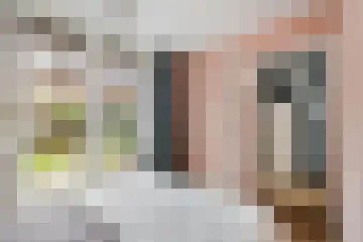 Swammerdamstraat 9 Utrecht thumbnail 13