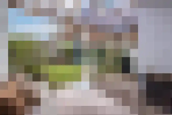 Swammerdamstraat 9 Utrecht thumbnail 15