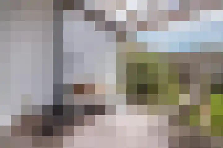 Swammerdamstraat 9 Utrecht thumbnail 16