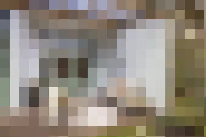 Swammerdamstraat 9 Utrecht thumbnail 17