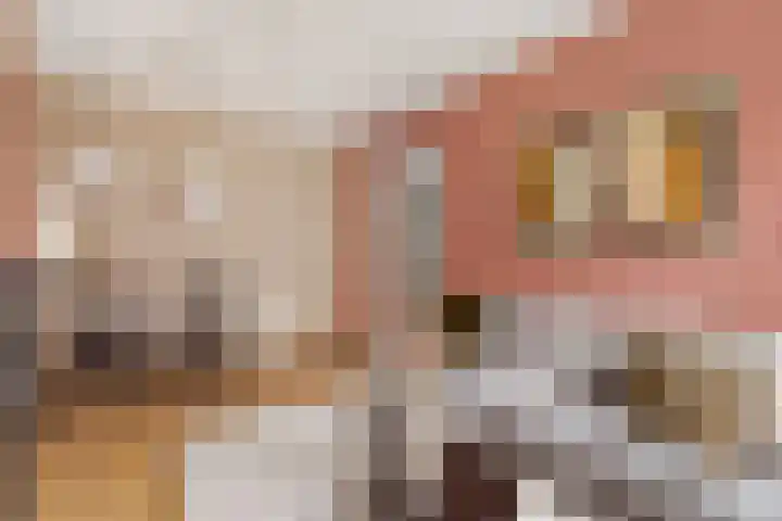 Swammerdamstraat 9 Utrecht thumbnail 7