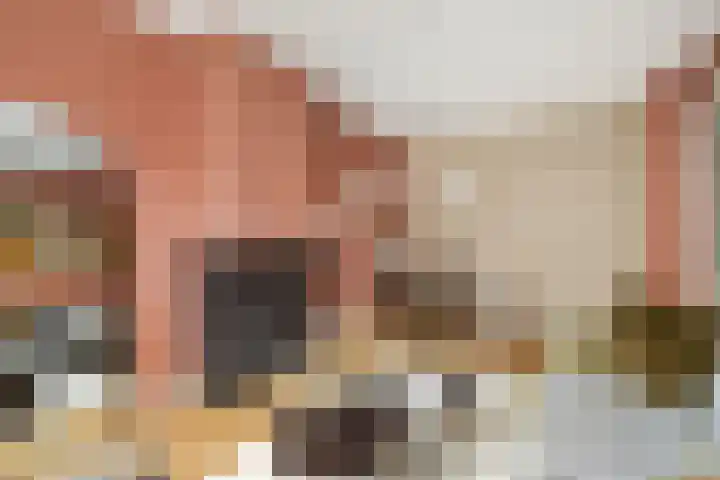 Swammerdamstraat 9 Utrecht thumbnail 8