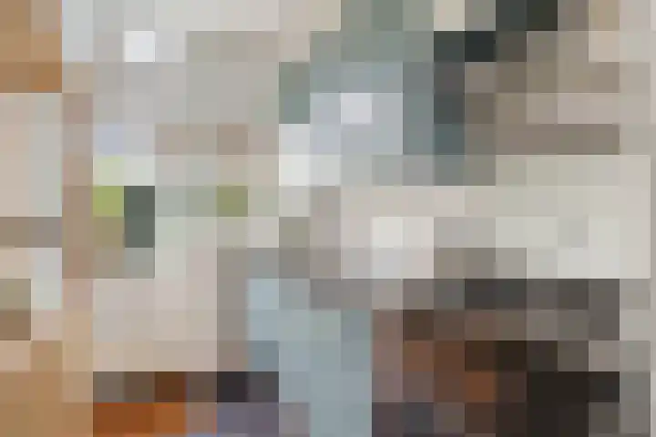 Swammerdamstraat 9 Utrecht thumbnail 9