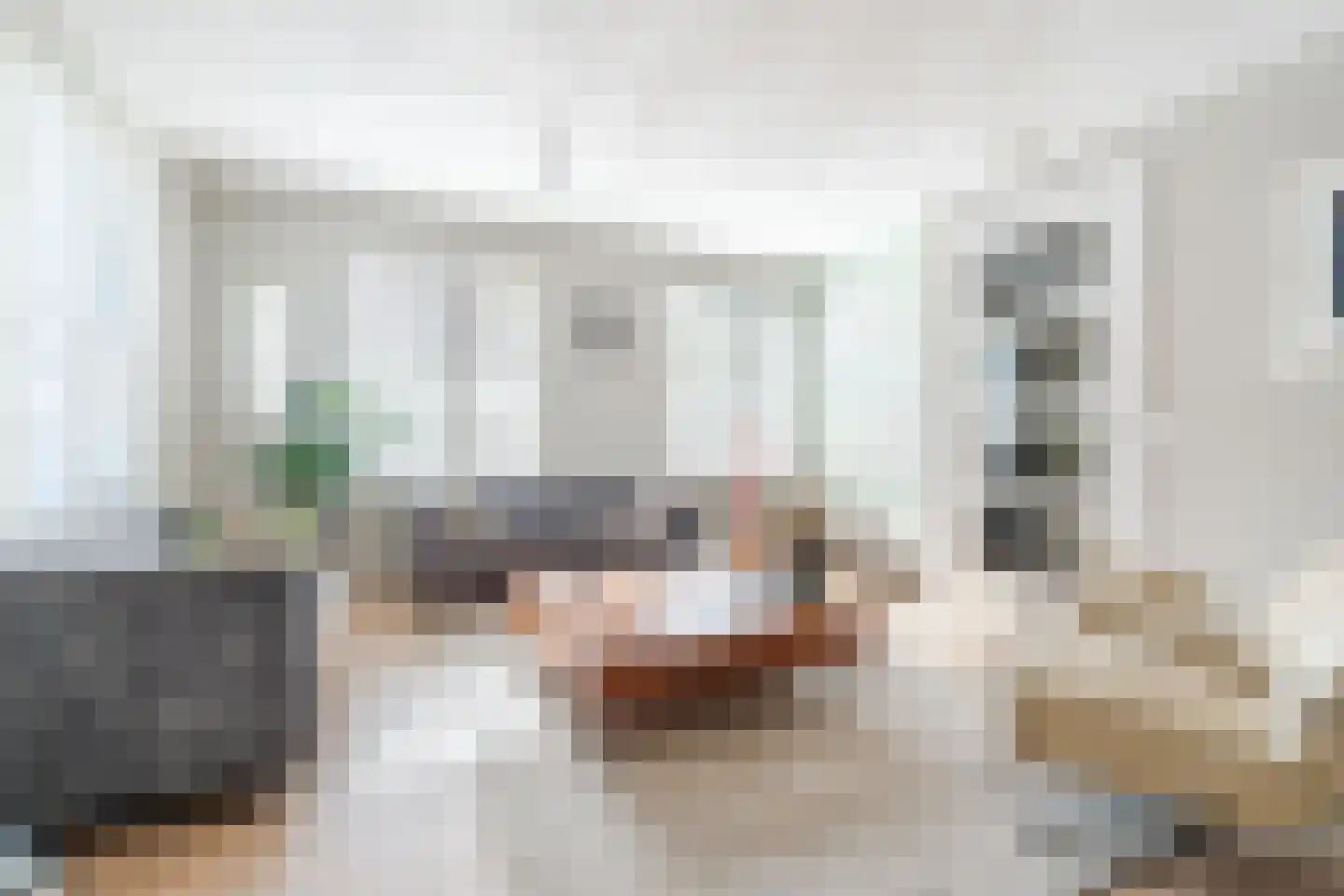 Swanegat 7 Leende thumbnail 12