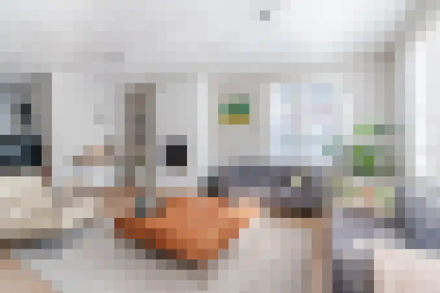 Swanegat 7 Leende thumbnail 13