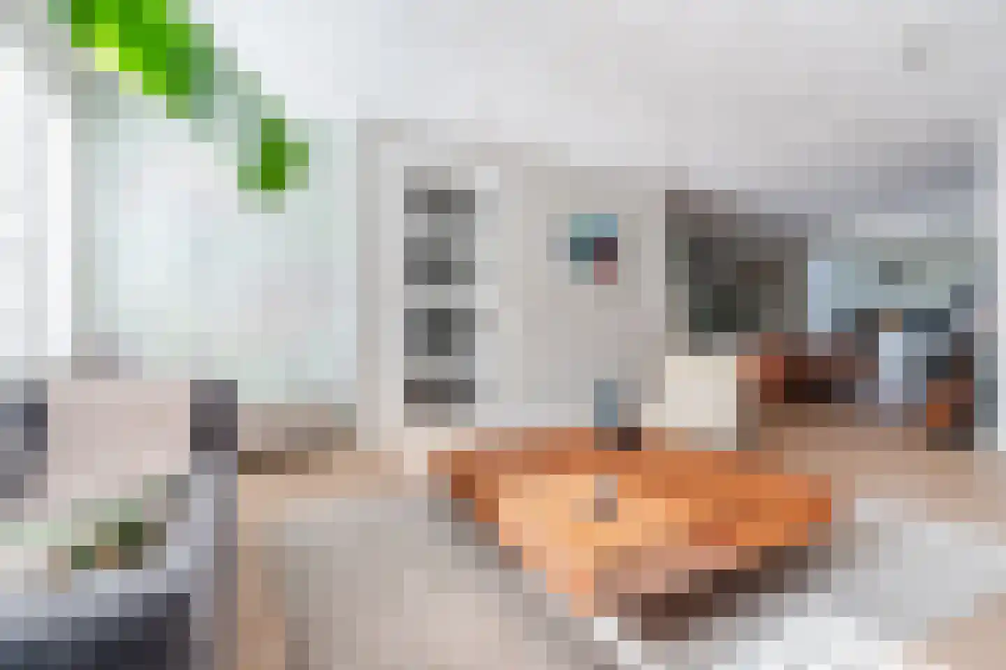 Swanegat 7 Leende thumbnail 15