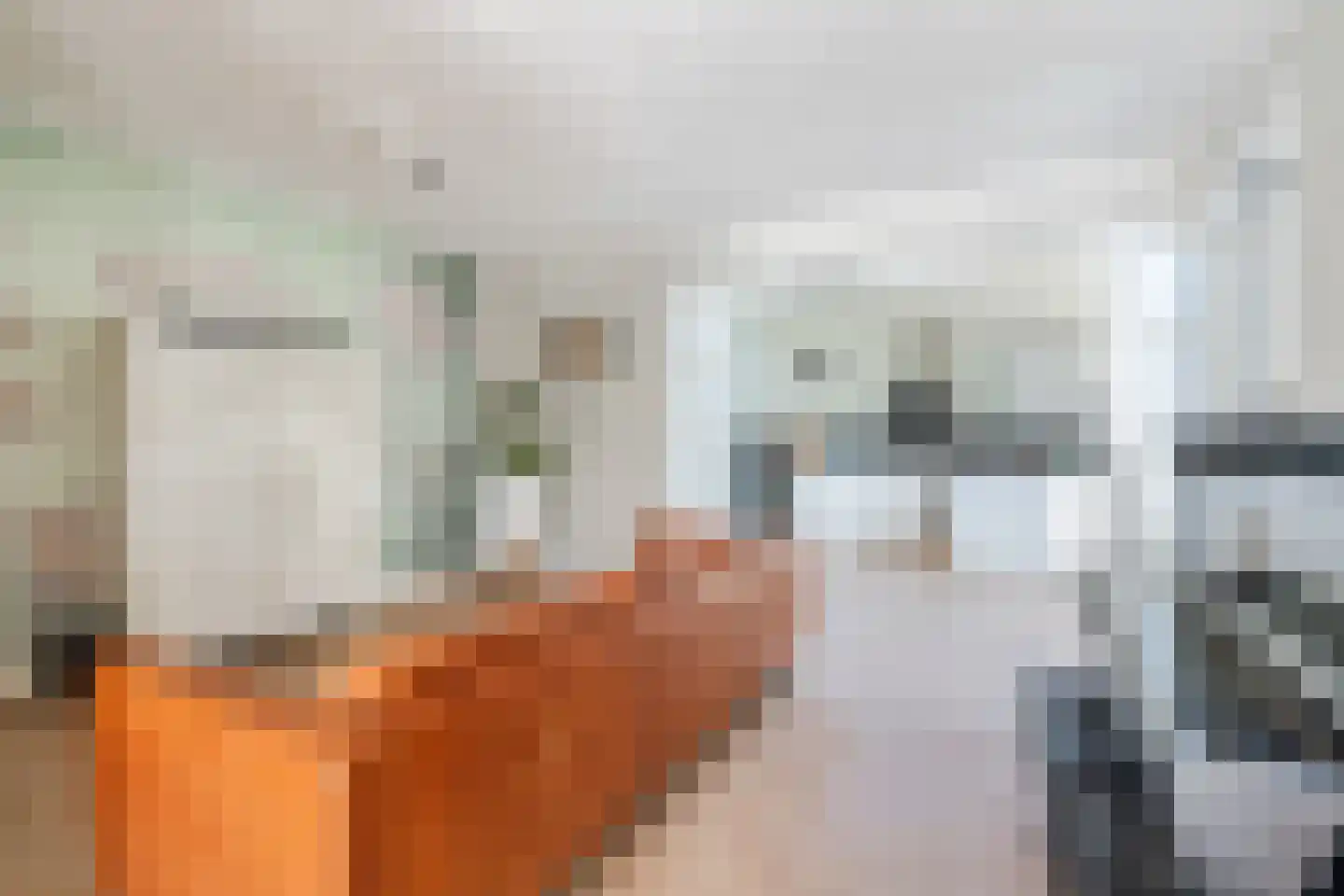 Swanegat 7 Leende thumbnail 16