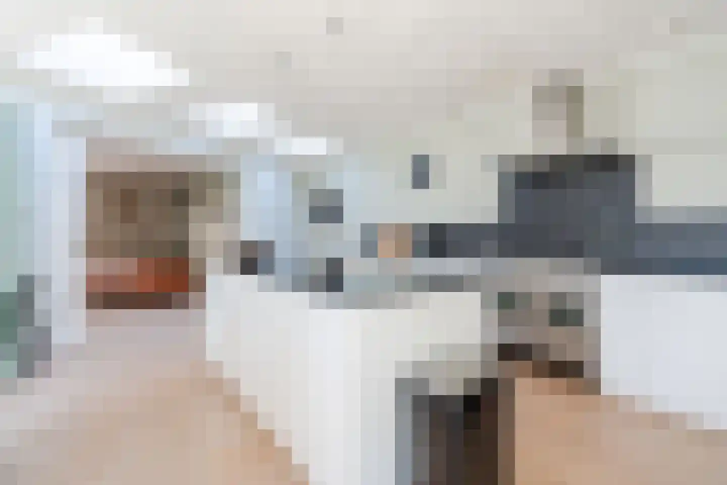 Swanegat 7 Leende thumbnail 26