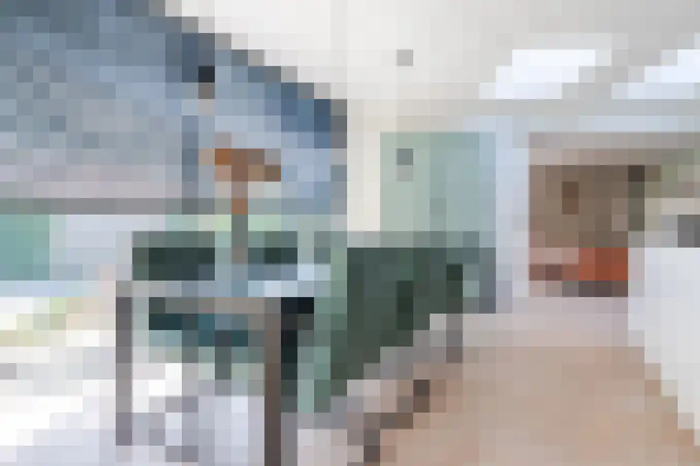 Swanegat 7 Leende thumbnail 27