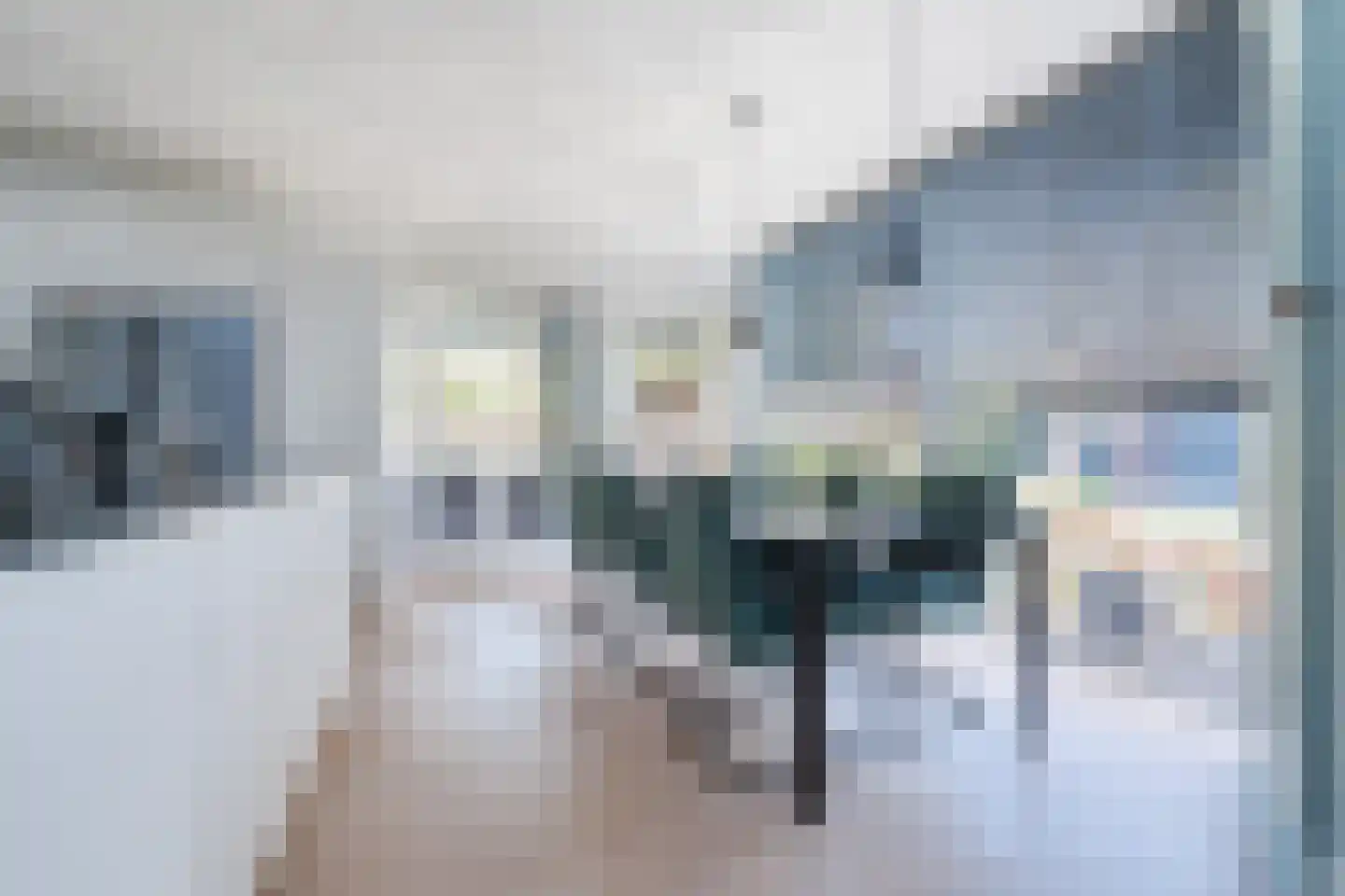 Swanegat 7 Leende thumbnail 28
