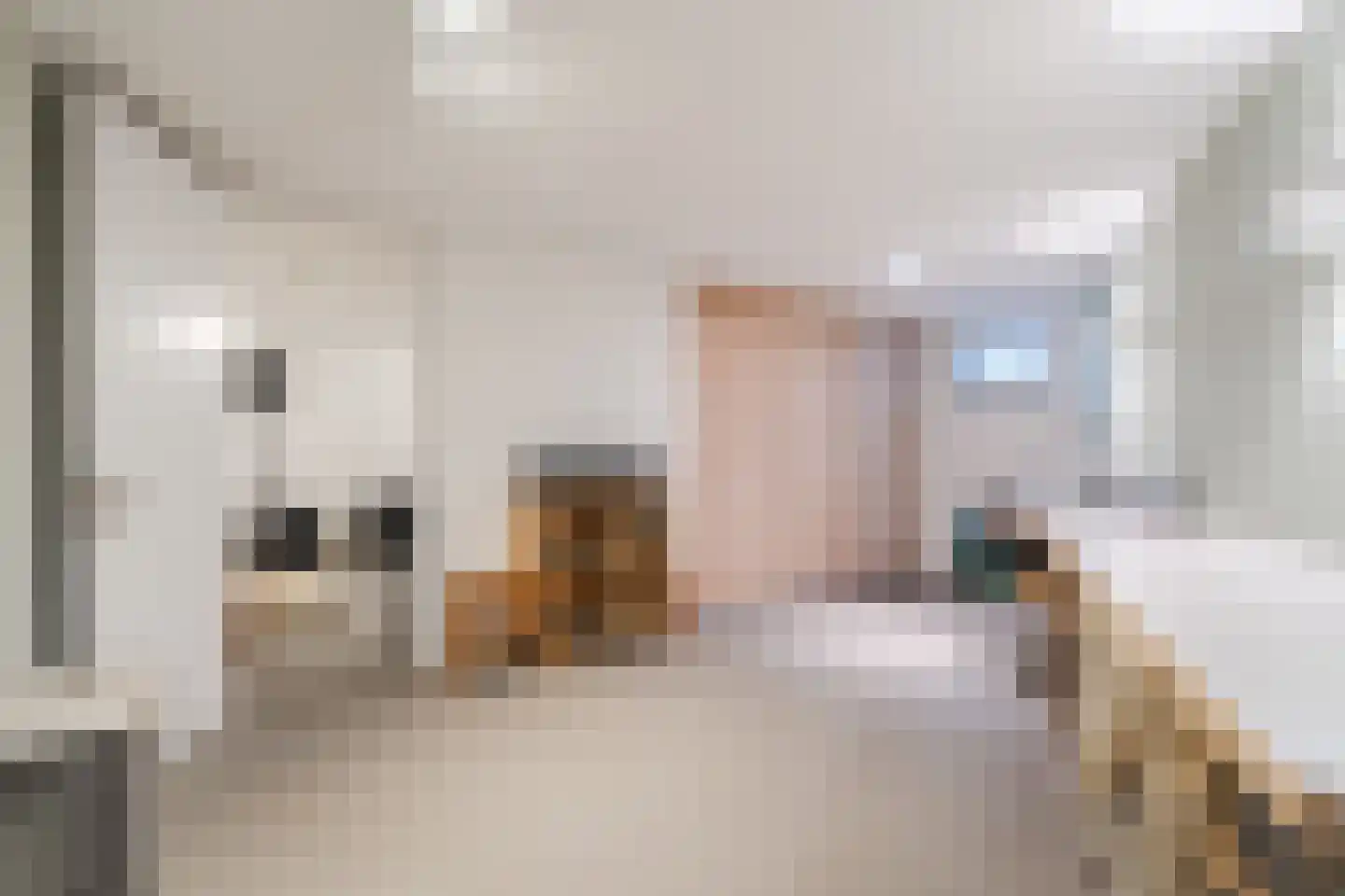 Swanegat 7 Leende thumbnail 30