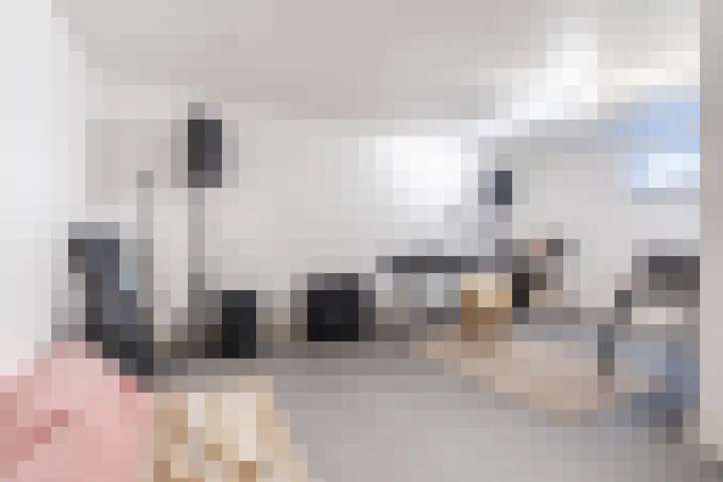 Swanegat 7 Leende thumbnail 32