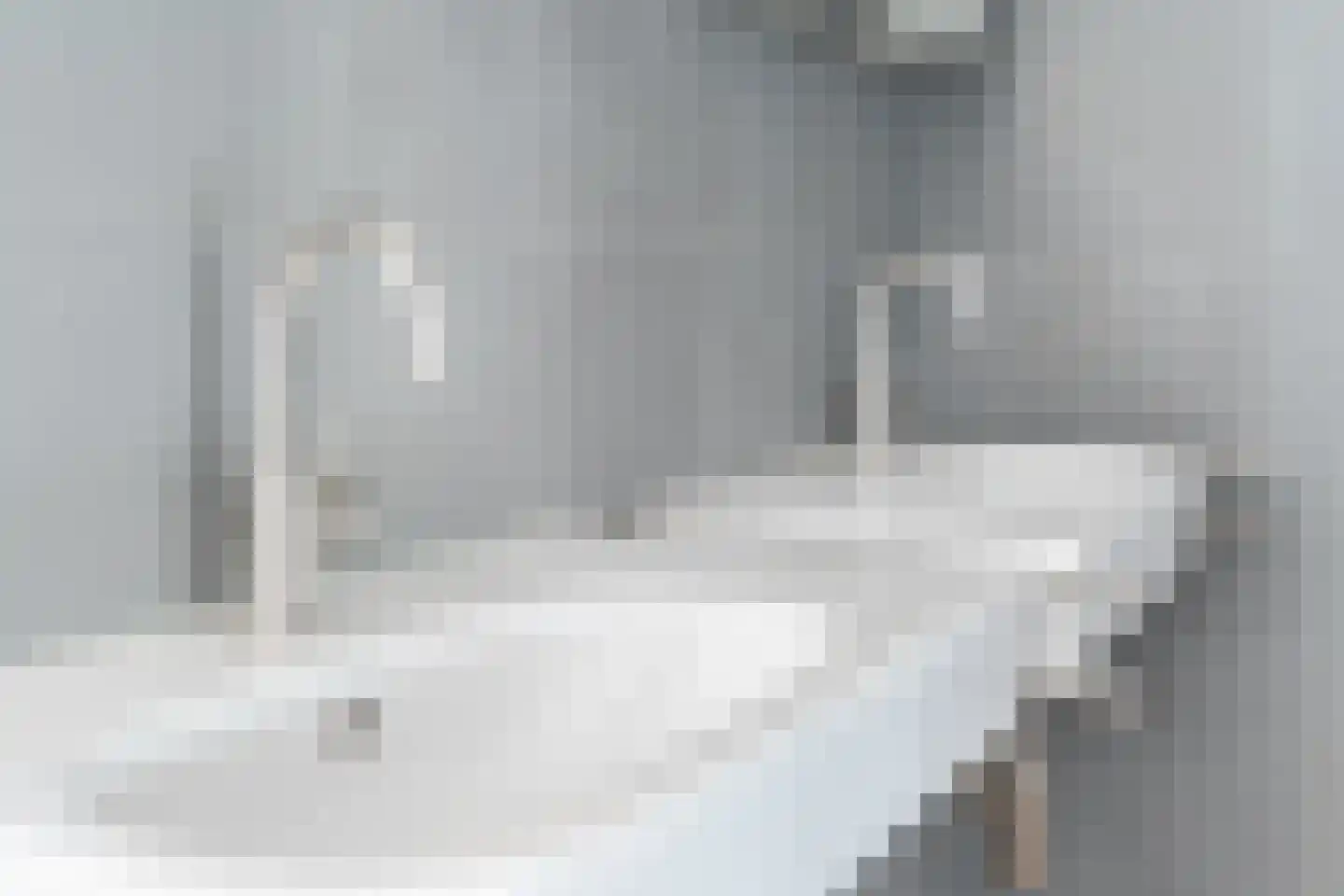 Swanegat 7 Leende thumbnail 40
