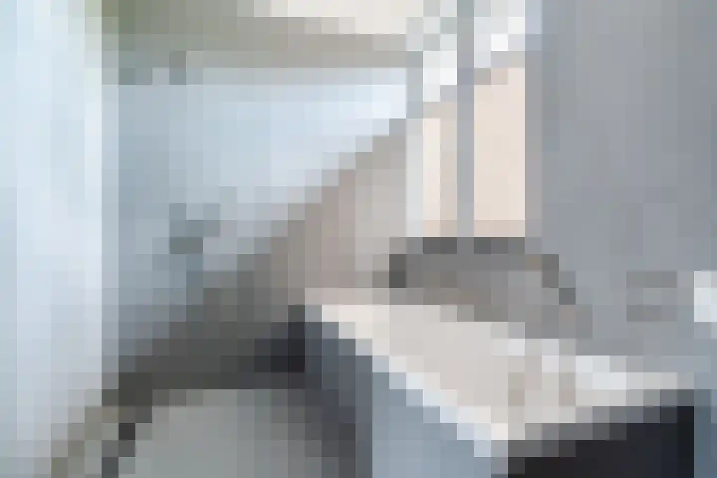 Swanegat 7 Leende thumbnail 41
